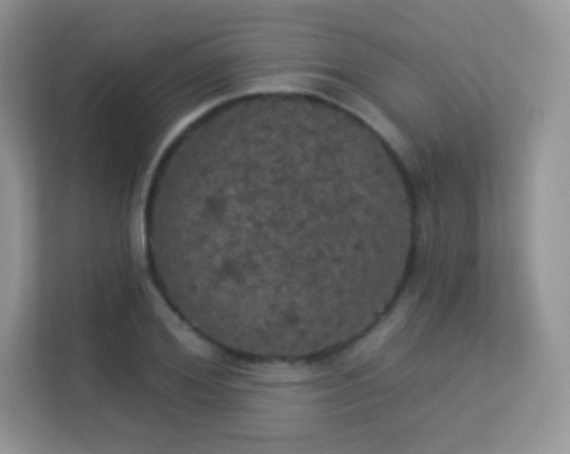 X0000113550980200909251034