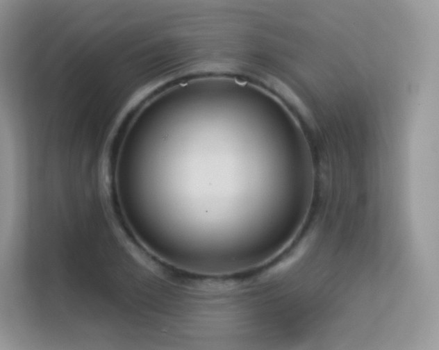 X0000113550981200909251034