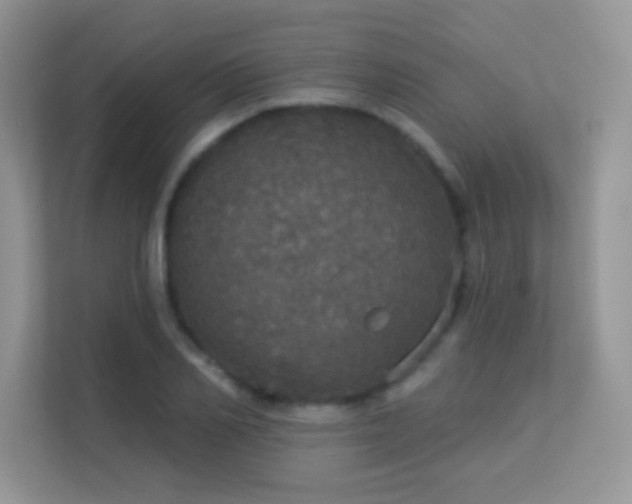 X0000113550982200909251034