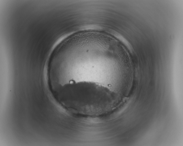 X0000113550983200909251034