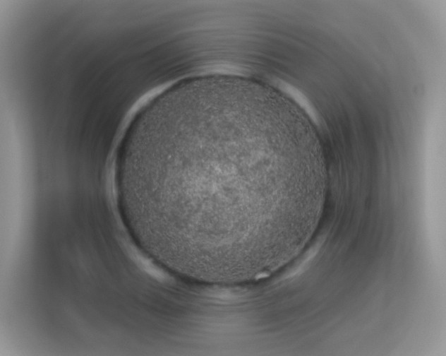 X0000113550987200909251034