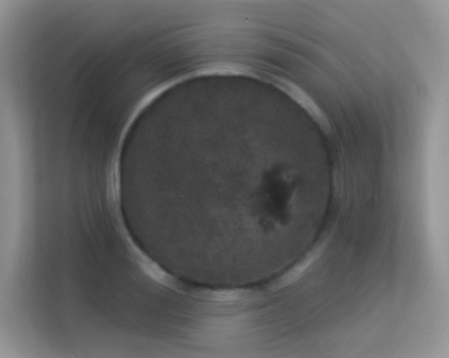 X0000113550988200909251034