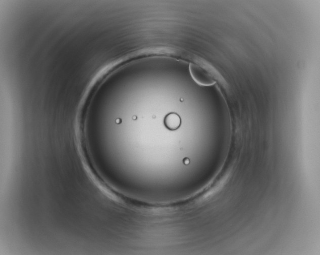 X0000113550989200909251034