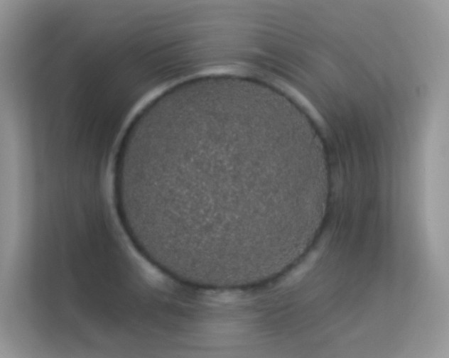 X0000113550991200909251034