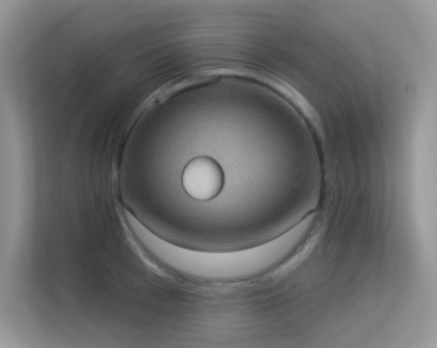 X0000113550993200909251034