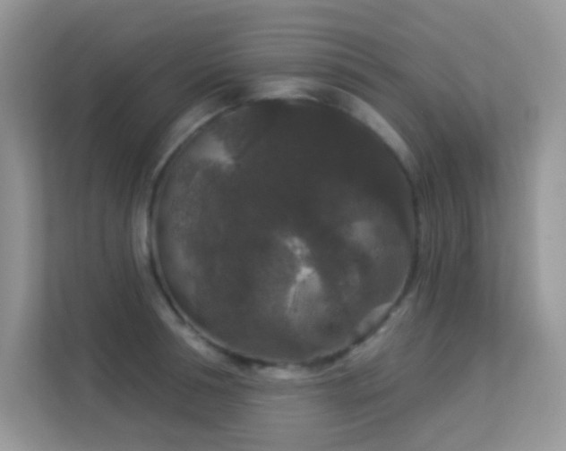 X0000113550994200909251034