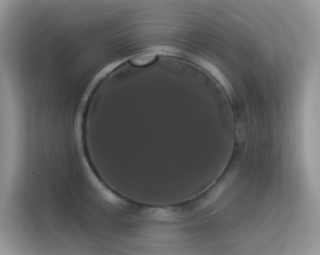 X0000113550995200909251034