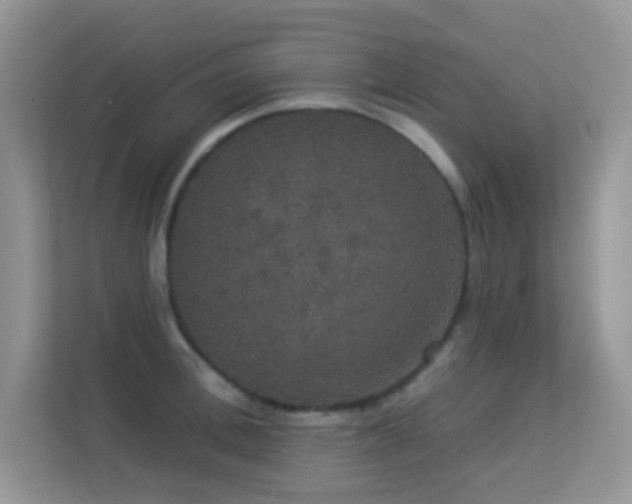 X0000113550996200909251034