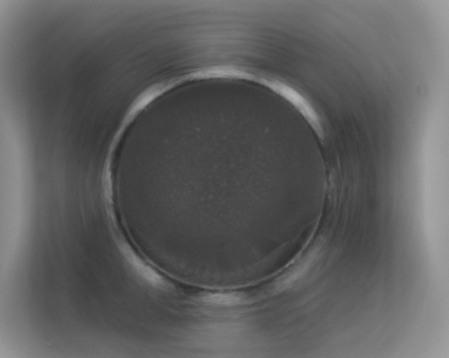 X0000113550998200909251034