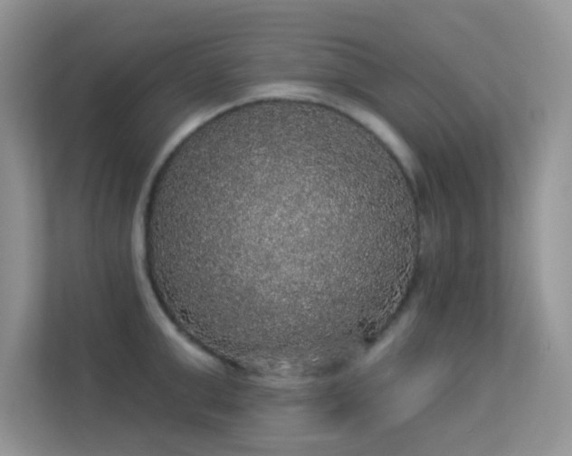 X0000113550999200909251034