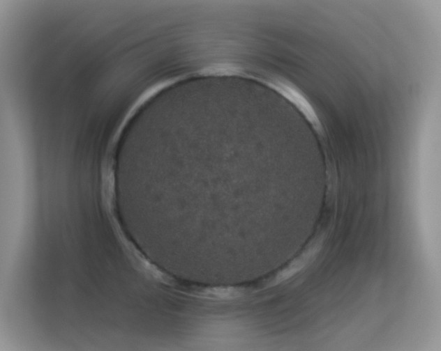 X0000113551000200909251034