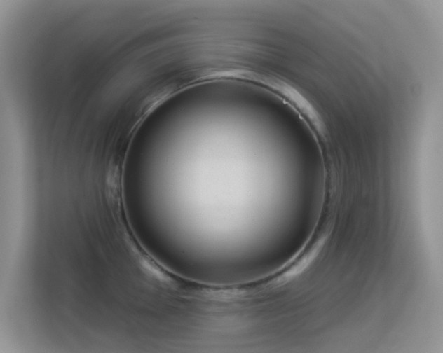 X0000113551001200909251034