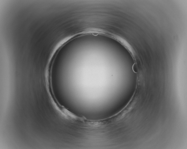 X0000113551003200909251034