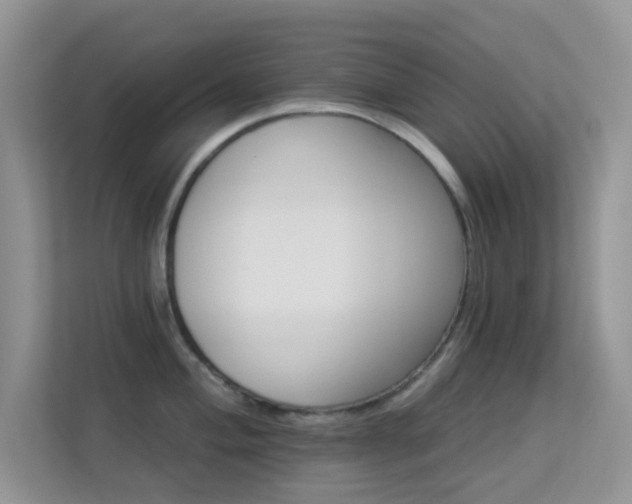 X0000113551004200909251034