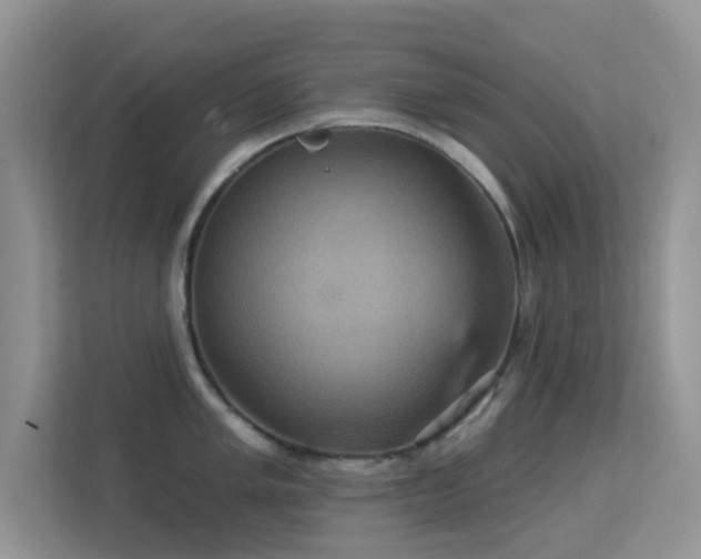 X0000113551005200909251034