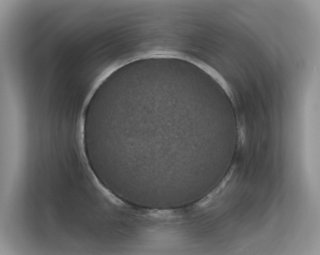 X0000113551006200909251034