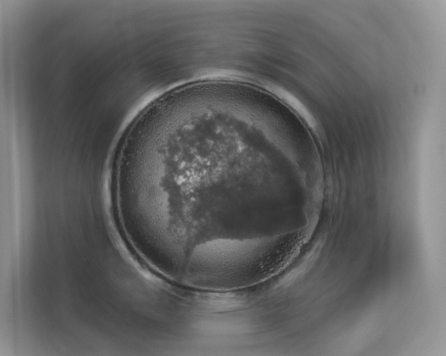 X0000113551007200909251034