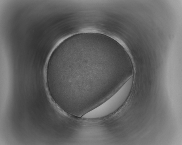 X0000113551008200909251034