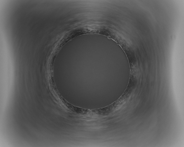 X0000113551009200909251033