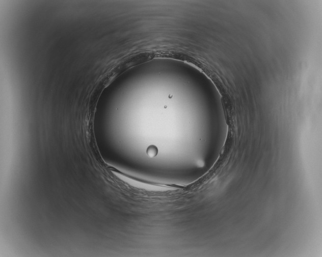 X0000113551010200909251033