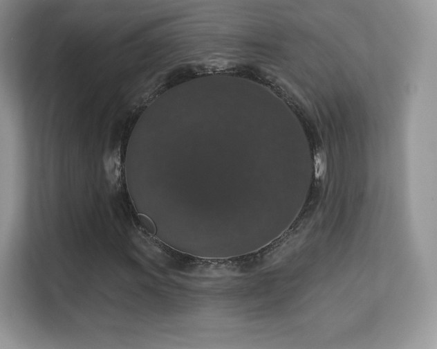 X0000113551011200909251033