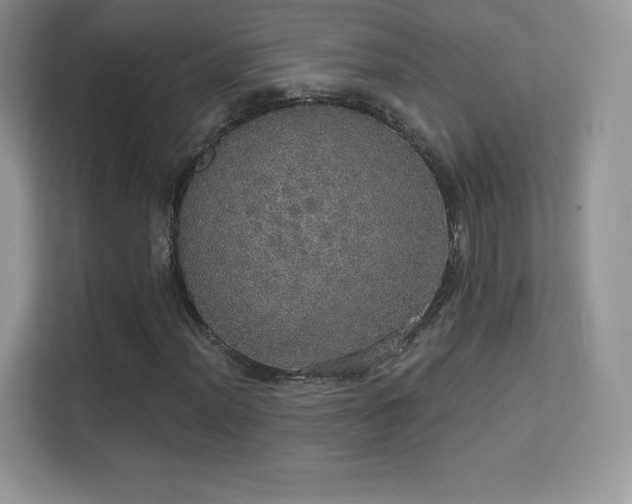 X0000113551012200909251033