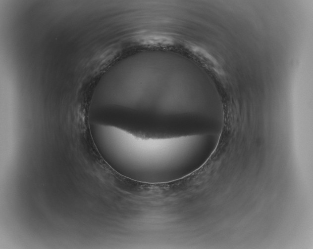 X0000113551013200909251033