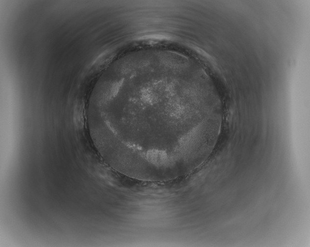 X0000113551014200909251033