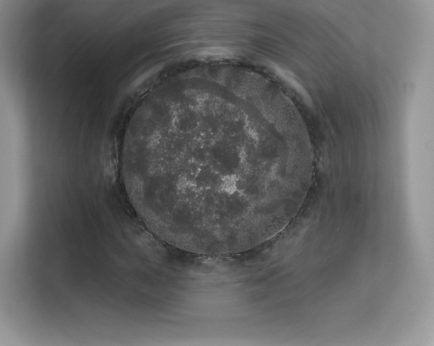 X0000113551015200909251033