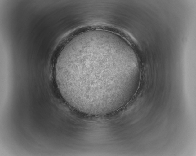 X0000113551016200909251033