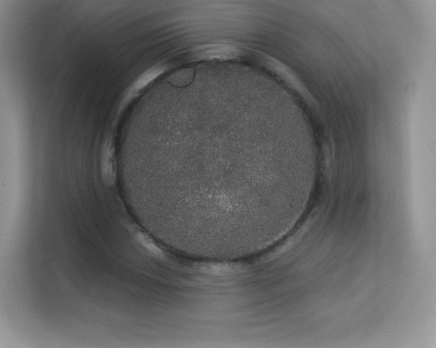 X0000113551018200909251033