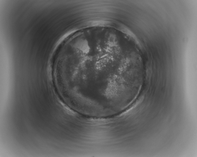 X0000113551019200909251033