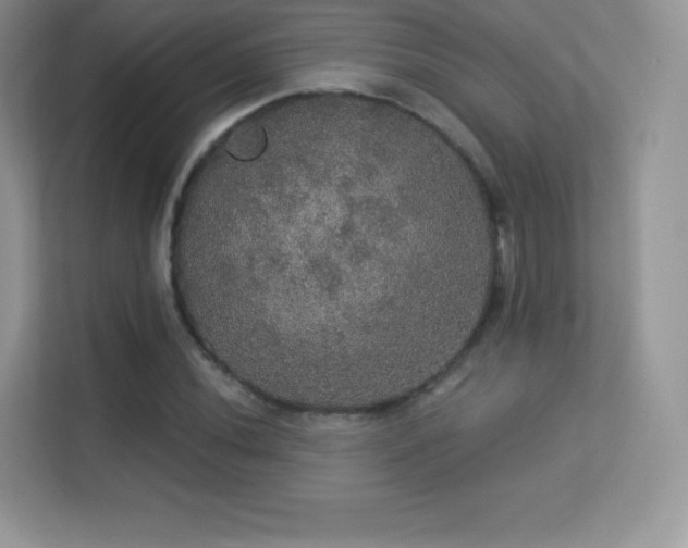 X0000113551020200909251033