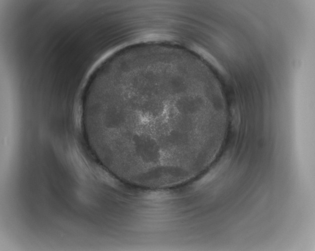 X0000113551021200909251033