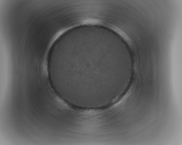 X0000113551022200909251033