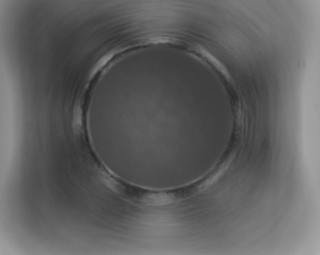 X0000113551023200909251033