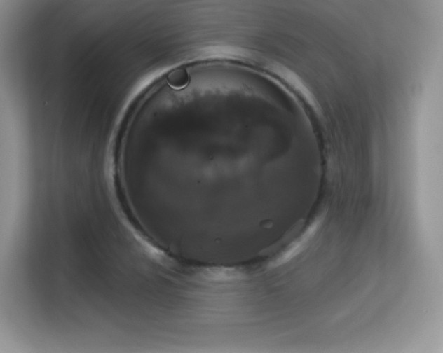 X0000113551024200909251033