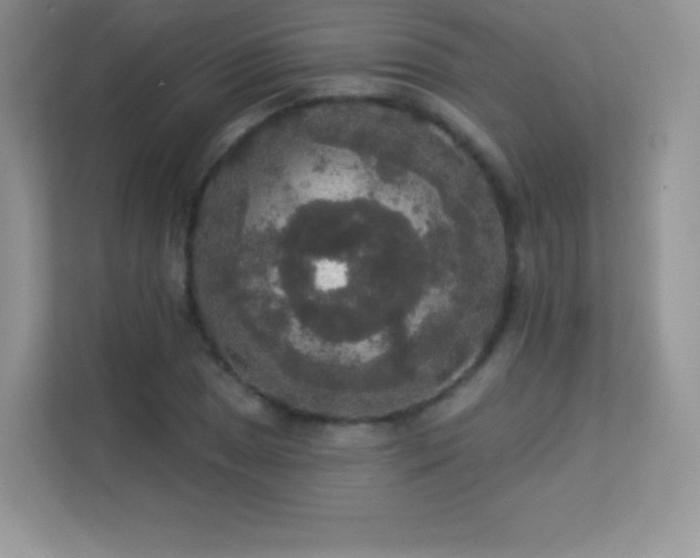 X0000113551025200909251033