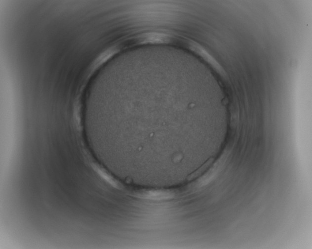 X0000113551026200909251033