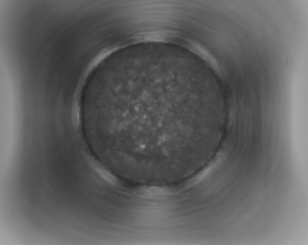 X0000113551027200909251033