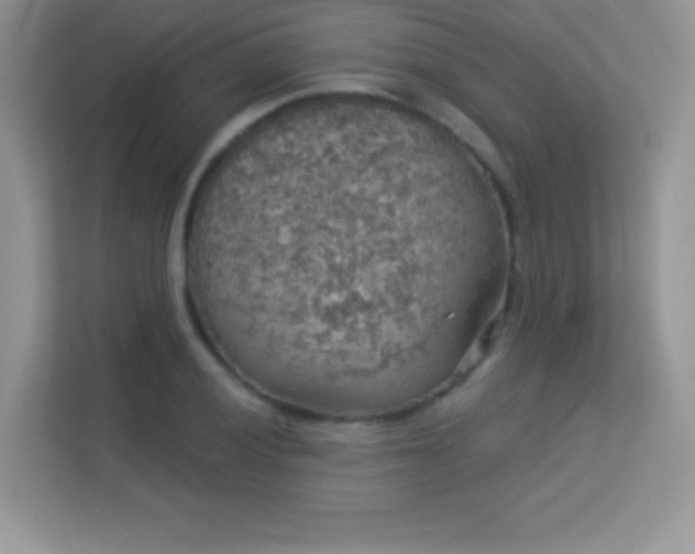 X0000113551028200909251033