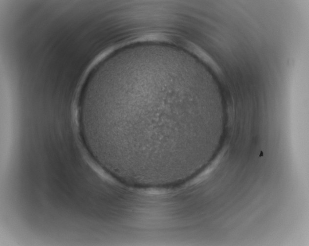 X0000113551029200909251033