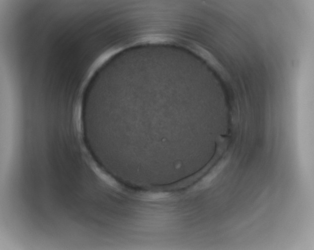 X0000113551030200909251033