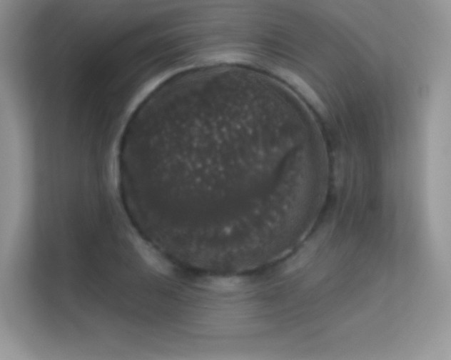 X0000113551031200909251034