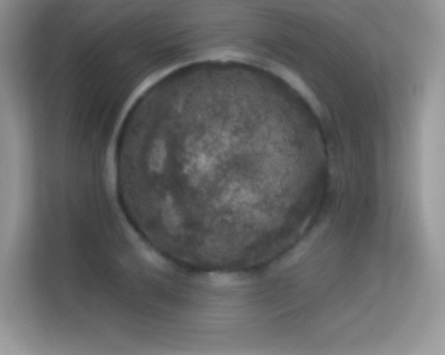 X0000113551032200909251034