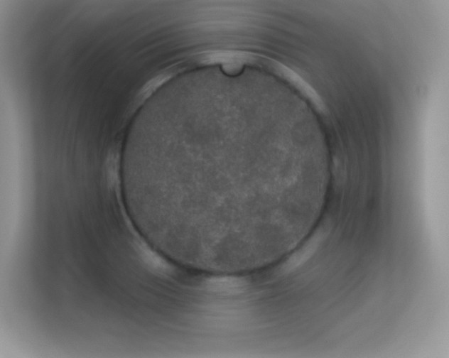 X0000113551033200909251034