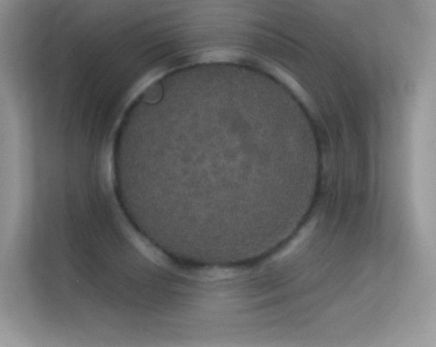 X0000113551034200909251034