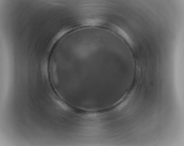 X0000113551035200909251034