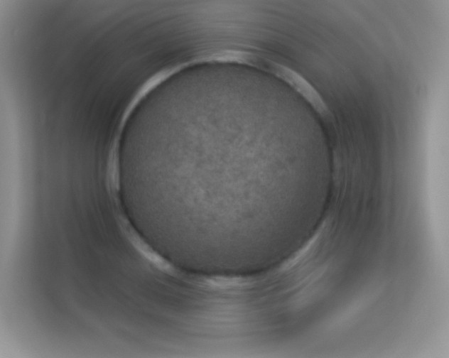 X0000113551036200909251034