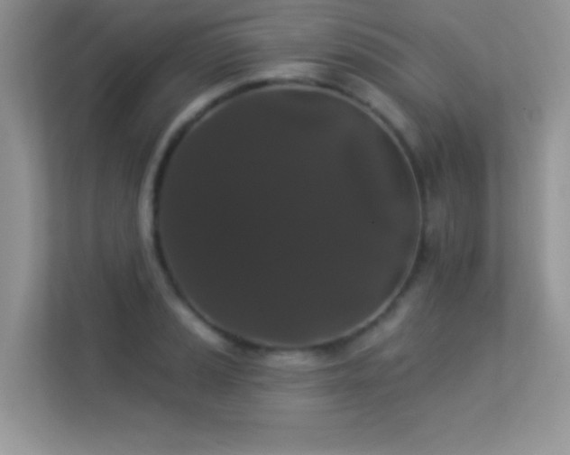 X0000113551037200909251034